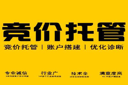 百度推广排名提升方案：某科技公司的成功经验